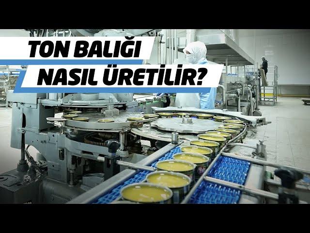 Türkiye’nin En Büyük Balık Fabrikası…