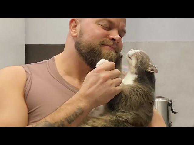 The Man's Best Friend Is His Cat  Cat and Human Moments