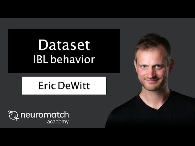 Projects Dataset: IBL behavior