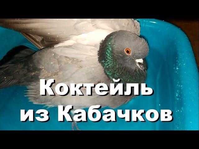 Коктейль из кабачков