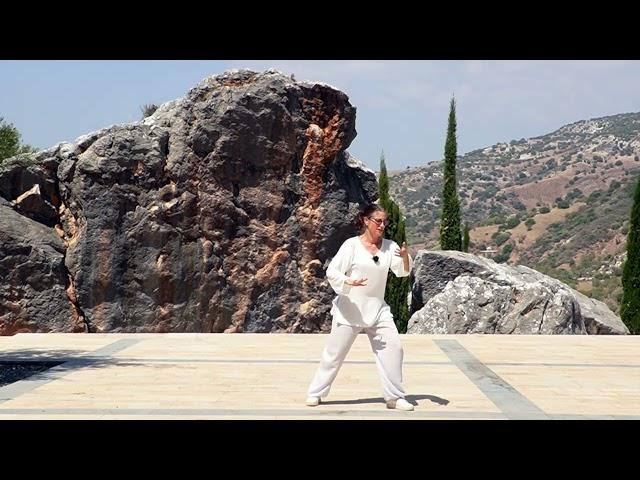 UPDATED: Tai Chi 5 MIn a Day - Module 05  - Dragon Flies, Fair Lady's Umbrella, Double Spiral