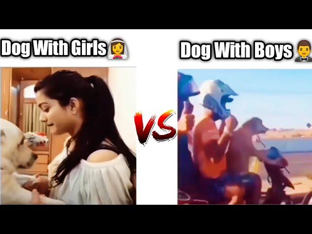 Dog with girls Vs Dog with boys  | memes | @Versus.. @Ajimwa