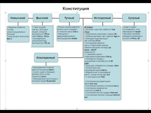 2. Классическая гомеопатия. Выход на конституцию.