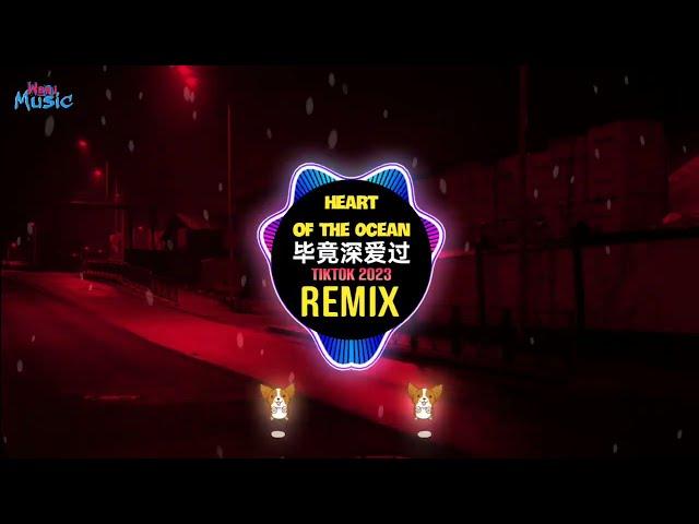 Titanic - Heart Of The Ocean x 毕竟深爱过 (抖音DJ小龙版 2023) Đã Từng Yêu Đậm Sâu (Remix Tiktok) || Hot Tiktok