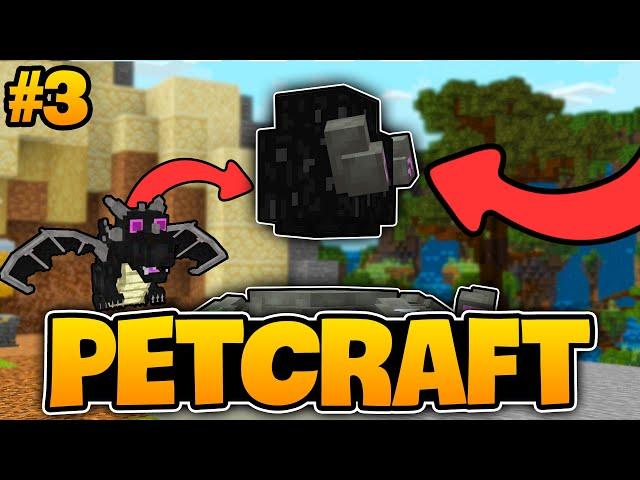 EJDERHA YUMURTASI BULDUK! | Minecraft PetCraft | #3