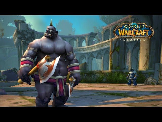 Dire Maul - Tribute run hunter solo (wow classic)