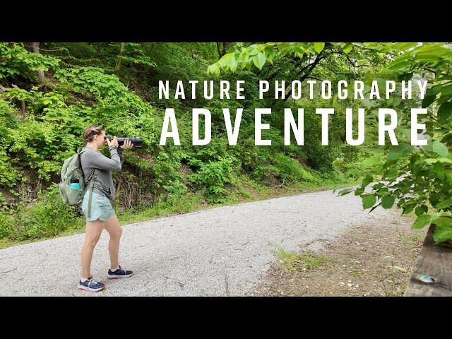 Nature Photography Along the Steamboat Trace Trail with the Nikon Z6