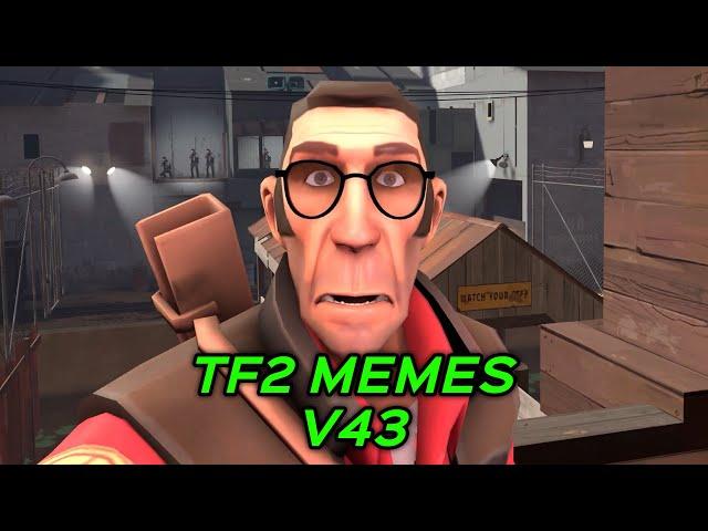 TF2 MEMES V43