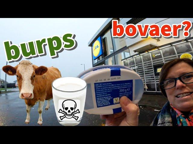 BOVAER update in LIDL supermarket UK MILK