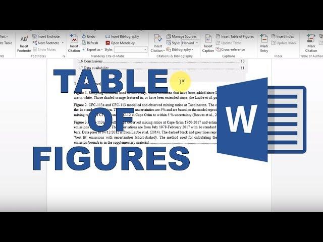 How to make figure captions and a table of figures in word