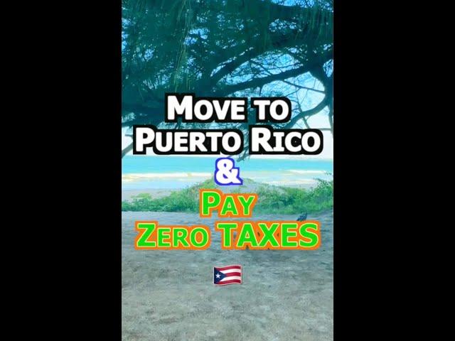 Pay NO taxes in Puerto Rico #elpodcast  #shorts #reels  #act60