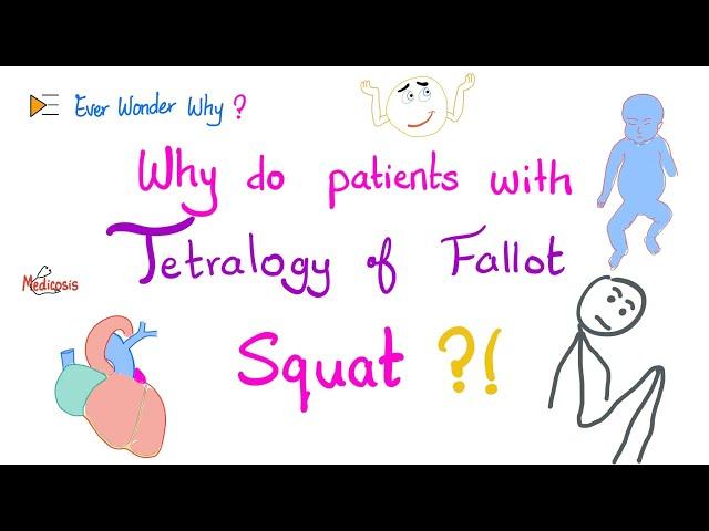 Tetralogy of Fallot (TOF)  Patients Squat a lot…Ever Wonder Why? ‍️