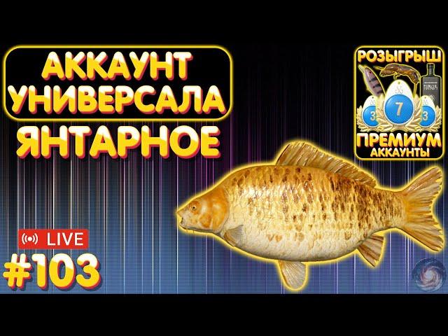 Янтарное  ПРЕМЫ и ЗОЛОТО в Телеге и на Trovo  Аккаунт универсала #103  Русская Рыбалка 4 #1138