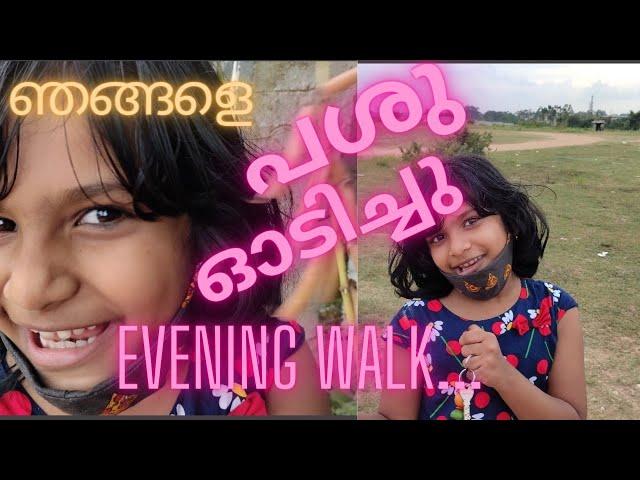 Evening Vlog|Thumbiyum Njangalum