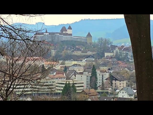 Важно!!! Социальные Квартиры. Поиск Квартиры  Из Украины в Швейцарию 19.02.2024