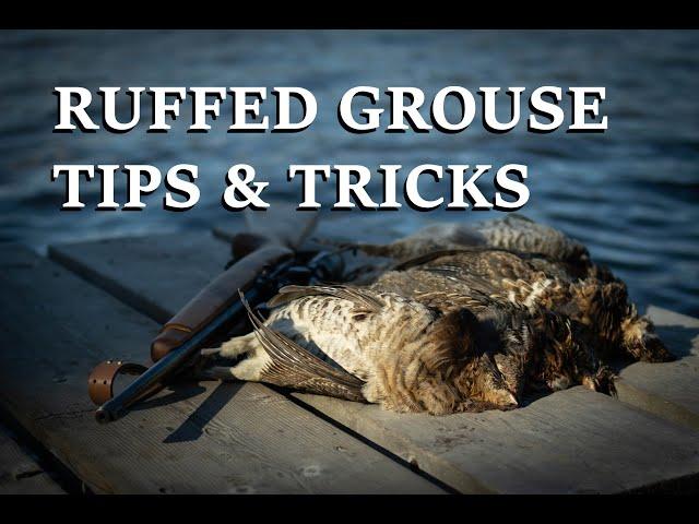 A day hunting Ruffed Grouse + Tips & Tricks. (WARNING GRAPHIC CONTENT)