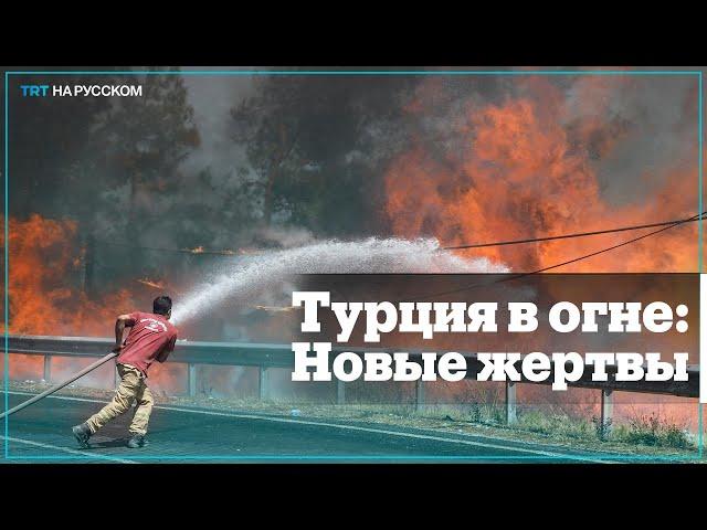 Вся Турция встала на борьбу с лесными пожарами | Пожары в Турции | Последние новости