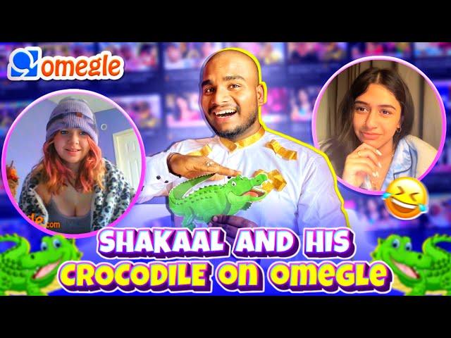 OMEGLE - WHAT HAPPEN WHEN SHAKAAL FOUND HIS VALENTINE ON OMEGLE  | NIGHTPRASH