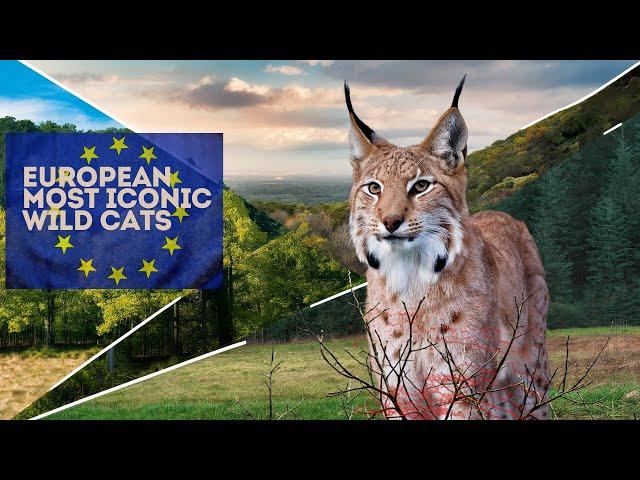 The Lynx Population In |Each European Country| Lynx Conservation