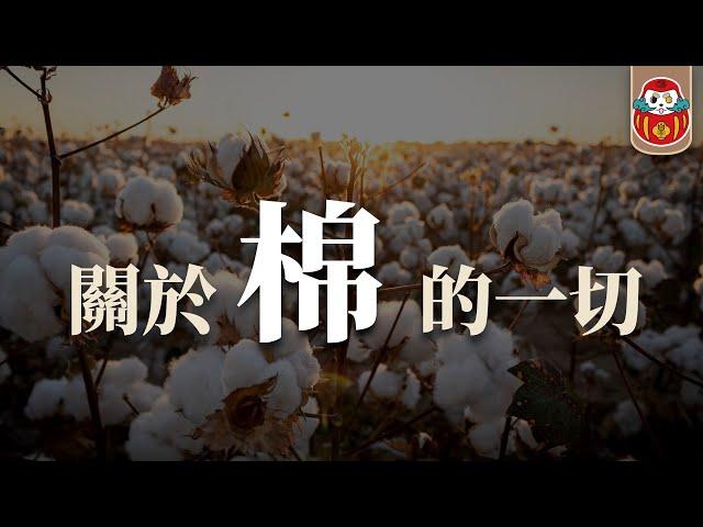 《布料調查局》棉花Cotton 竟然是最毒最不環保的布料？｜關於棉你需要知道的一切 ｜深度科普