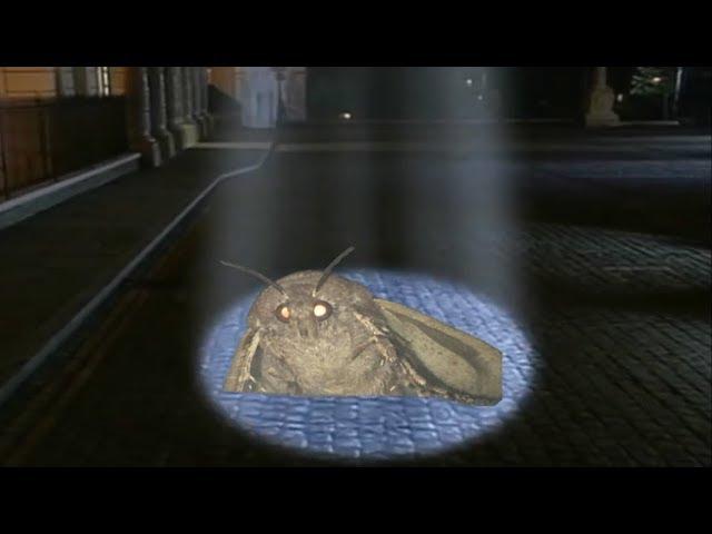 Mr. Moth