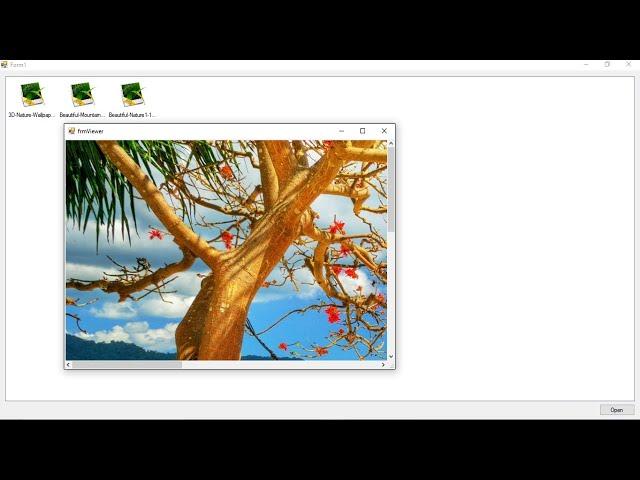 C# Tutorial - How to make an Image Viewer | FoxLearn