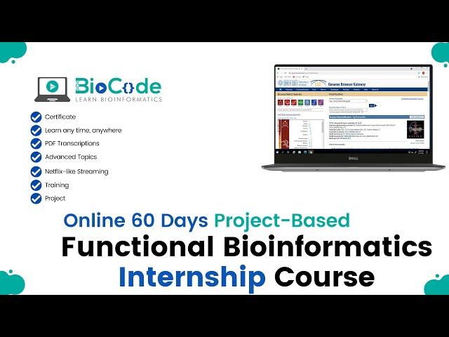 Functional Bioinformatics Internship Online Course