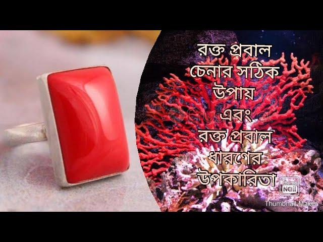 Red Coral/Moonga Stone/Rakta Prabal Uses And Benefits /Oxblood Red Coral/Original Italian Red Coral