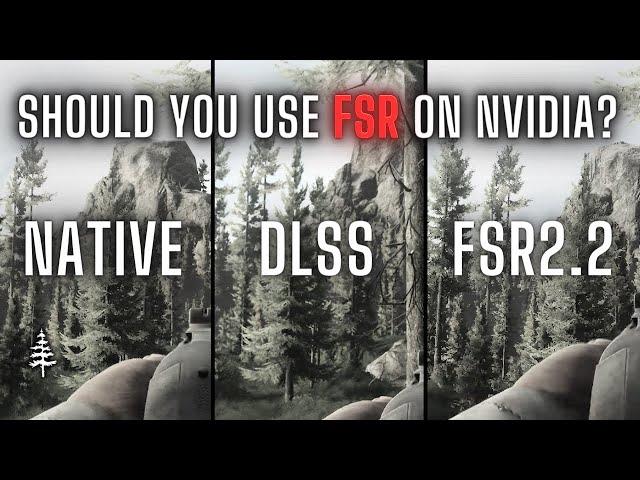 Should You Use FSR Even on Nvidia? \\ 1440 Native vs DLSS vs FSR2.2 // 4060 Ti Tarkov Testing