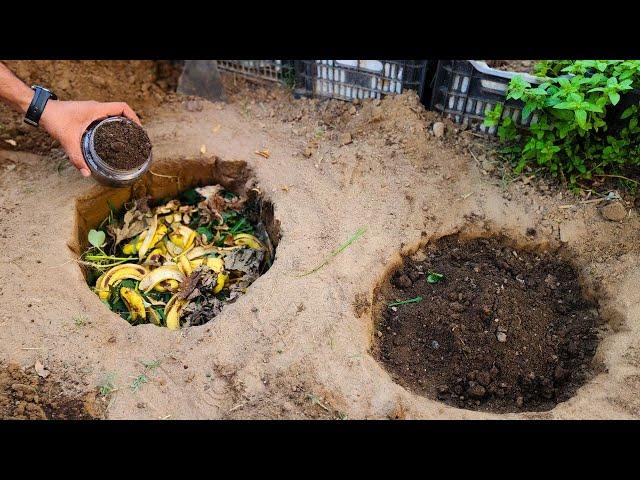 This will produce the most powerful soil in no time, tomatoes & cucumbers will be huge