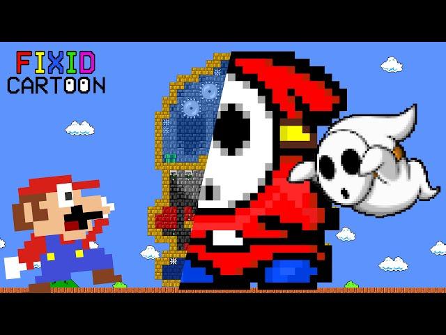 Mario vs GIANT Shy Guy (Mario Cartoon Animation)