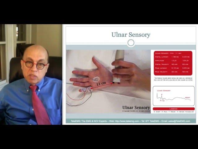 Course 1 - EMG and NCV Principles