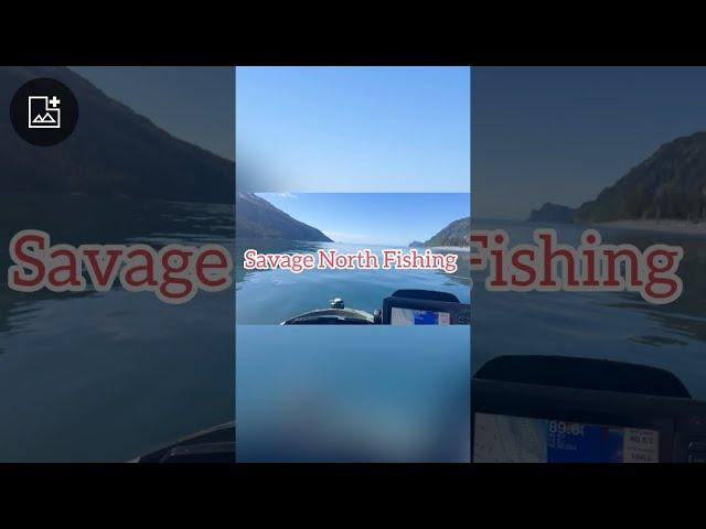Fishing alone 25 miles out on a jet ski in Alaska!  Catching salmon, rockfish, and halibut.