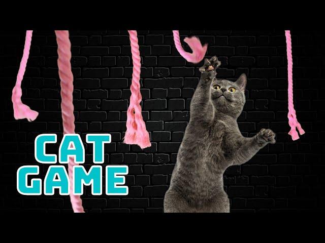 Cat Games Real String on the Screen