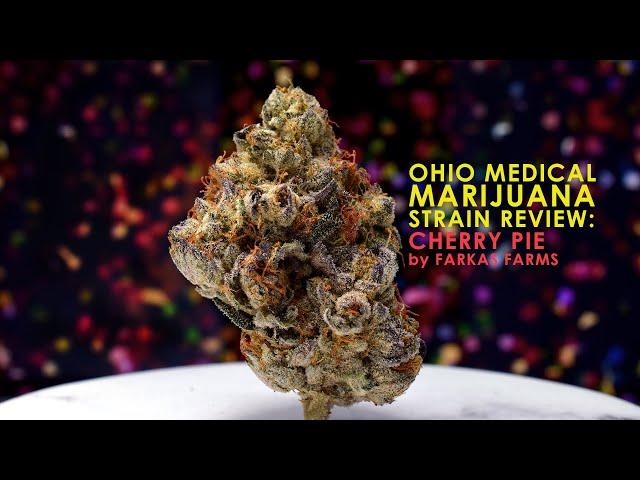 Review: Cherry Pie by Farkas Farms (Ohio Medical Marijuana Strain)