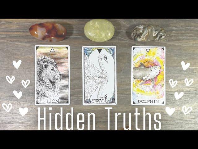 Their Hidden Truths  in your connection. PICK A CARD *super Detailed Love Tarot Reading