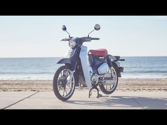 2019 Honda Super Cub C125 Review | MC Commute