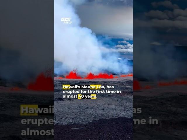 World's Largest Active Volcano Erupts in Hawaii #newsreels