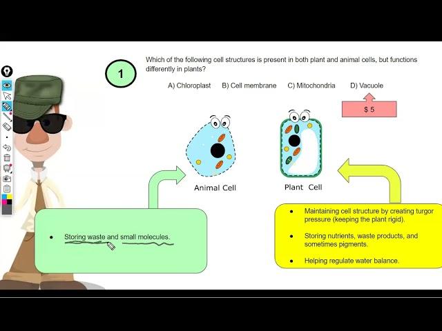 CSEC Biology   Basics   Part 2