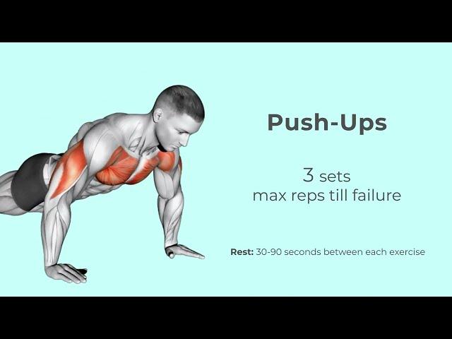 Chest and Bicep Workout to Feel the Pump | Welltech. Wellbeing and Technology