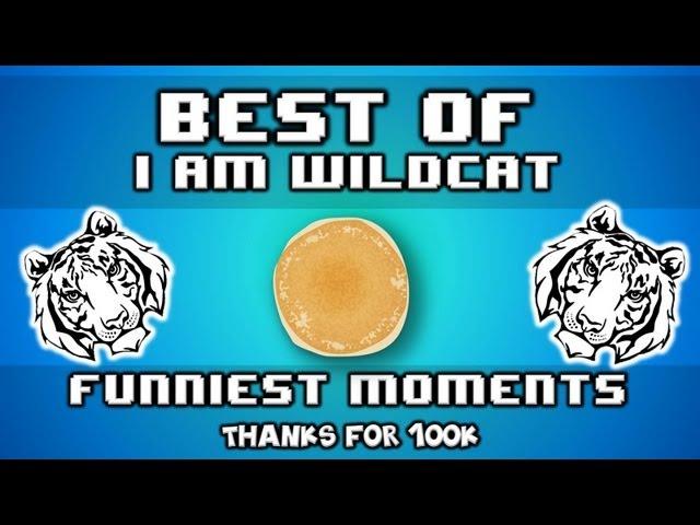 Best of I AM WILDCAT - Funniest Moments - Puncake, Tube Song, Hot Dog, and More! (100k Special)