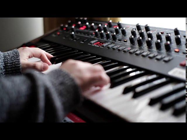 Sequential Prophet 6 x Moog Sub37