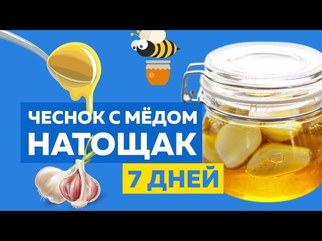 Если есть Чеснок с Медом Натощак 7 дней, со здоровьем произойдет чудо! Мед и чеснок польза