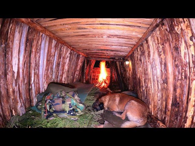 Building A Survival Shelter In Heavy Rain - Bushcraft Winter Camping, Nature Sounds, Cooking, Asmr