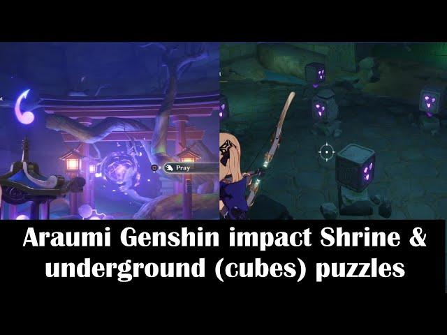 Araumi Genshin impact Shrine & underground puzzles/Cleansing defilement Quest location