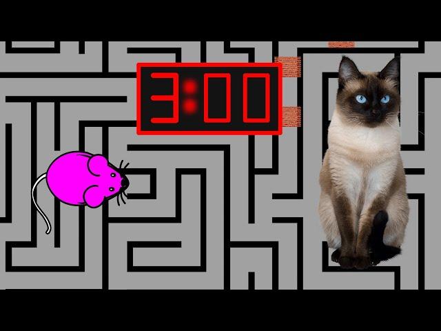 3 Minute Timer [MOUSE MAZE] 