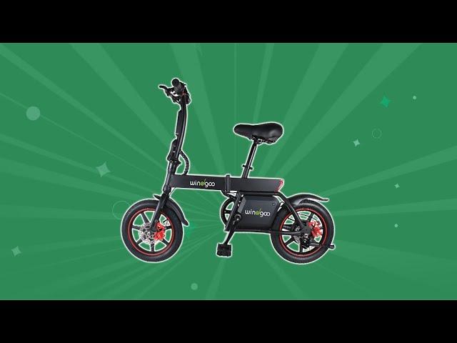 WINDGOO B20 electric bike