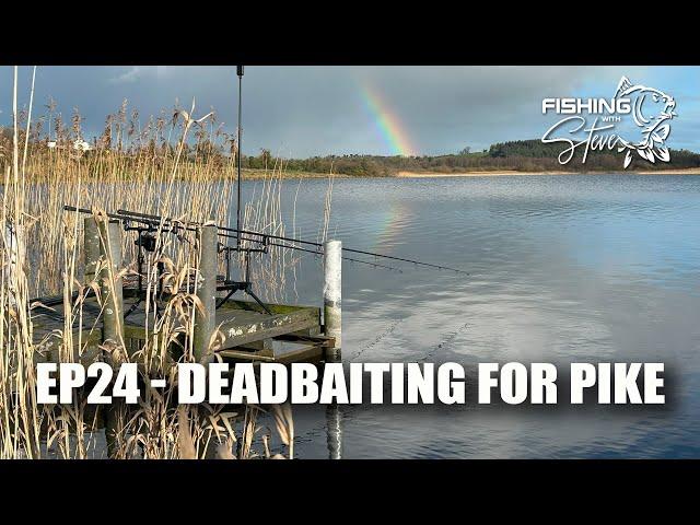 Ep24 | Deadbaiting for Pike on a Cavan Lake