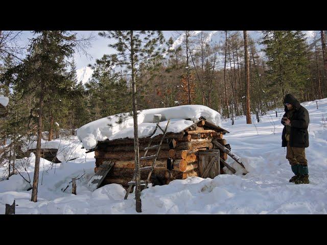 Таинственный случай в тайге,в который сложно поверить