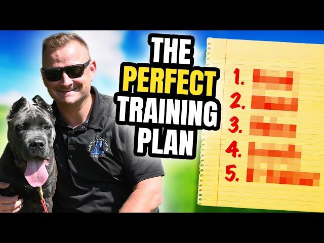 How to Train Your NEW Puppy! - 5 Simple Steps